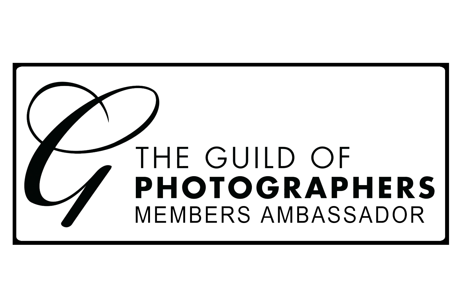 Members Ambassador for The Guild of Photographers.